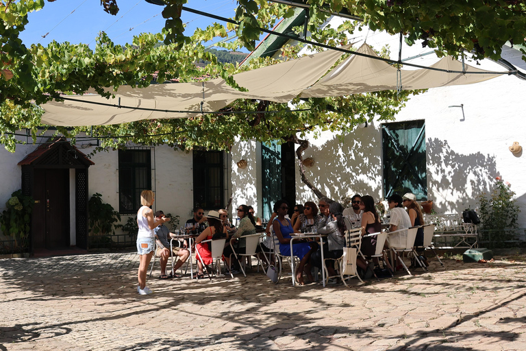 From Porto: 2 Boutique Wineries w/ Winery Lunch & 1-h cruise Tour in English