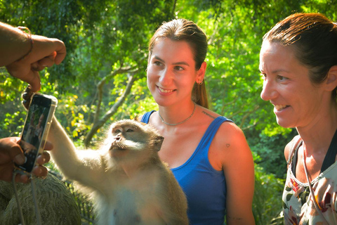 Ubud: Private Tour Waterfall, Rice Terraces & Monkey Forest Private Ubud tour with Entrance Tickets Included.