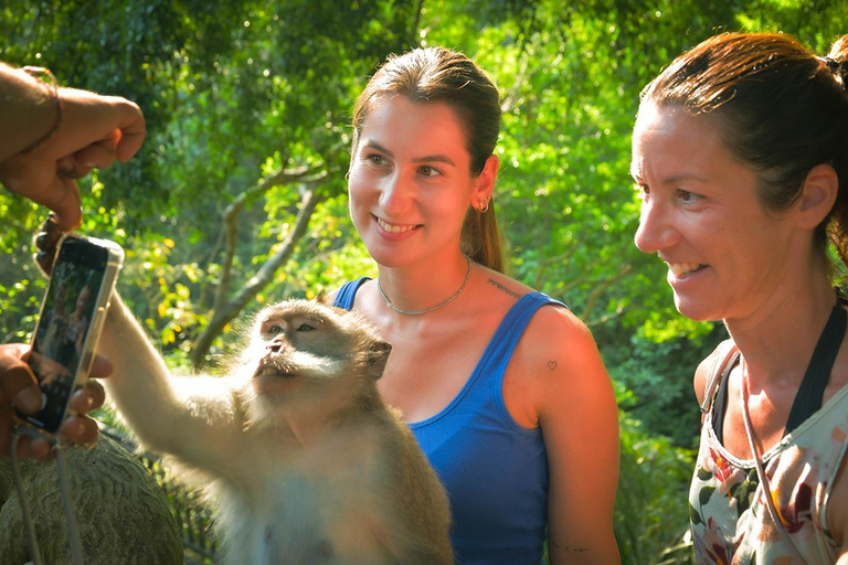 Ubud: Private Tour Waterfall, Rice Terraces & Monkey Forest Private Ubud tour with Entrance Tickets Included.