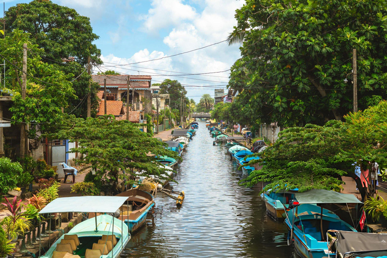 Colombo to: Negombo Beach, Lagoon & Hamilton Canal Tour