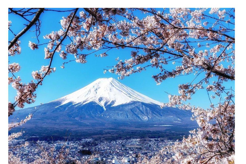 Depuis Tokyo : Visite privée du Mont Fuji en Land Cruiser ZX 2024Visite touristique du Mont Fuji en voiture de luxe Toyota Vellfire