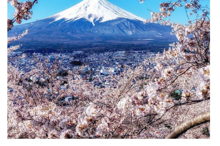 Depuis Tokyo : Visite privée du Mont Fuji en Land Cruiser ZX 2024Visite touristique du Mont Fuji en voiture de luxe Toyota Vellfire