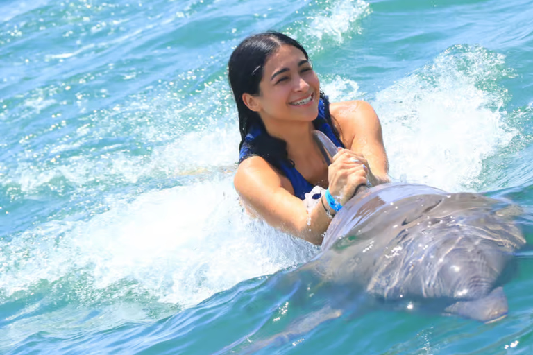 Punta Cana: Dolphin Explorer swimming Free Pickup Hotel Dolphin Action Program