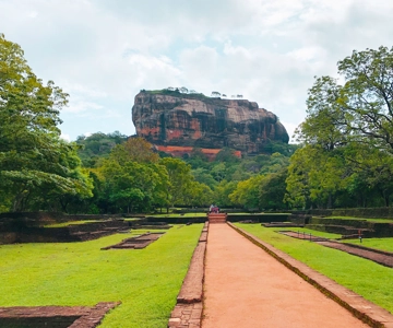 Tour privato di un giorno intero di Sigiriya Lion Rock e Safari serale