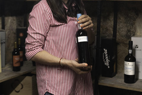 Porto: Cheese and Port Wine Tasting in a Unique Place