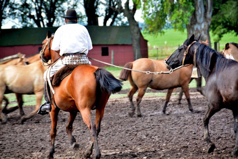 Buenos Aires: Santa Susana Ranch Day Tour, BBQ & Shows
