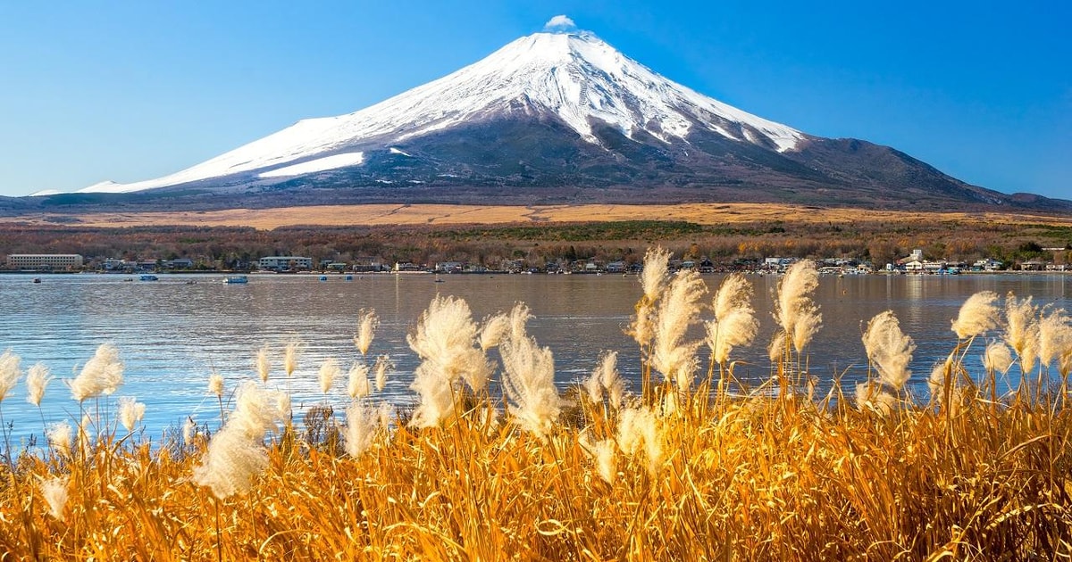 Da Tokyo Escursione Di Un Intera Giornata Al Monte Fuji Oshino Hakkai