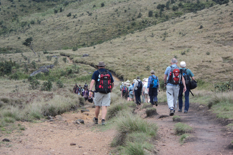 Trekking z Kandy do Ella