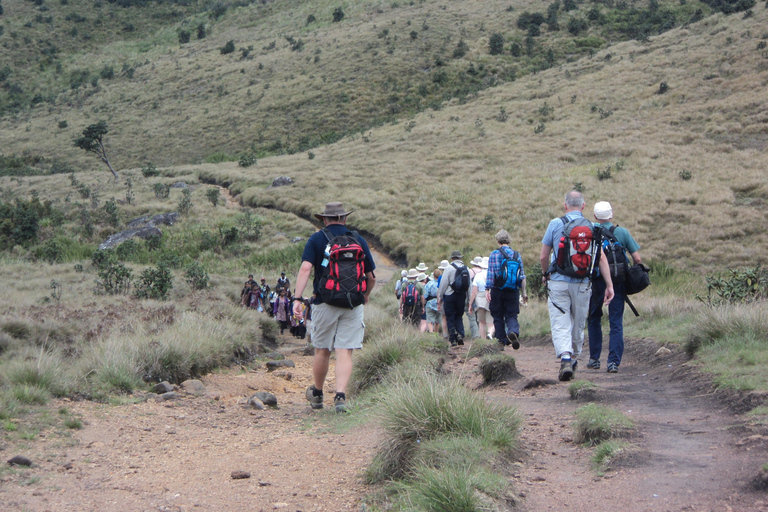 Trekking z Kandy do Ella