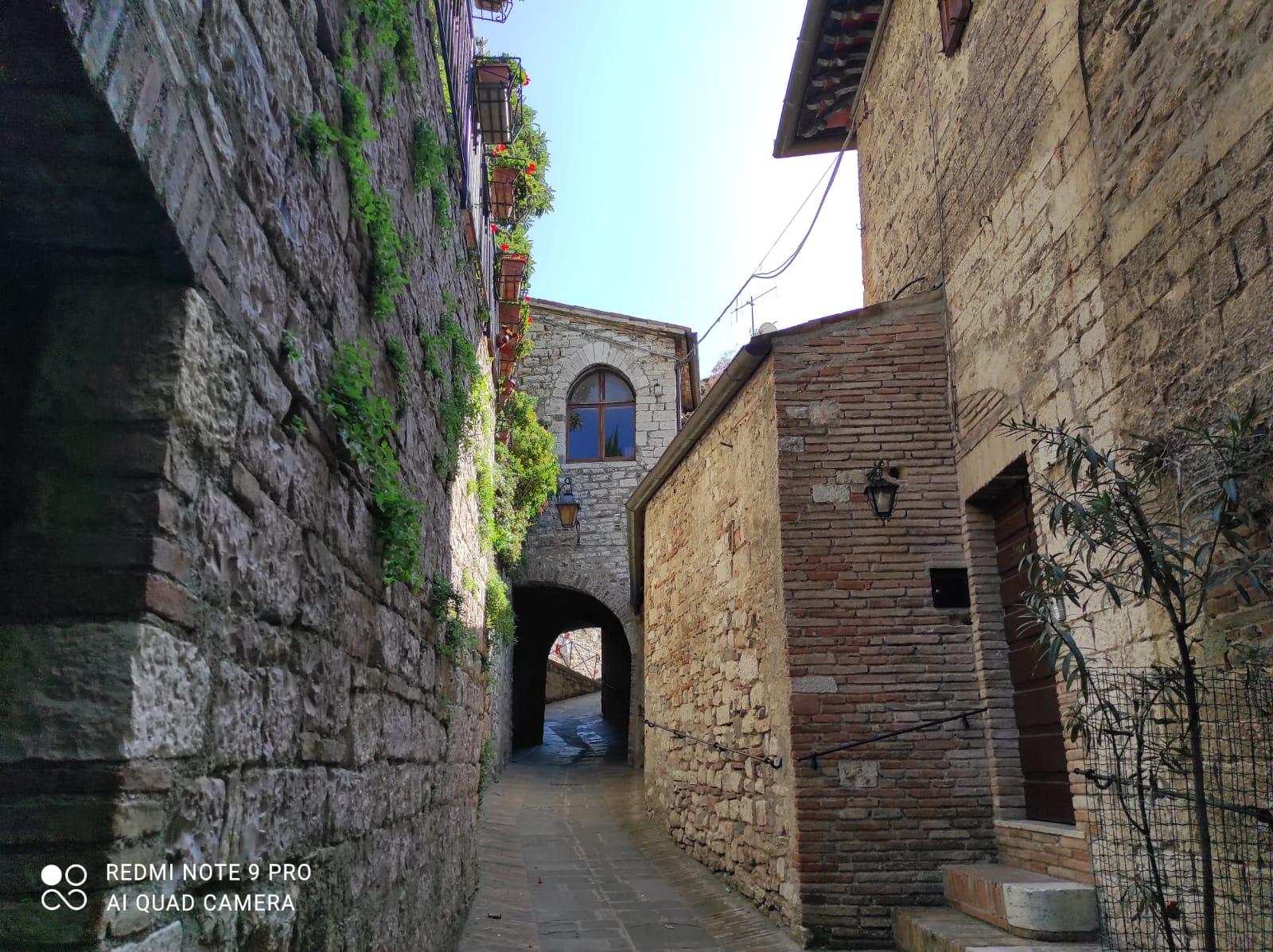 Gubbio: Privater Rundgang mit Mittagessen