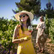 Ruta del Vino por la Provenza - Tour privado desde Niza