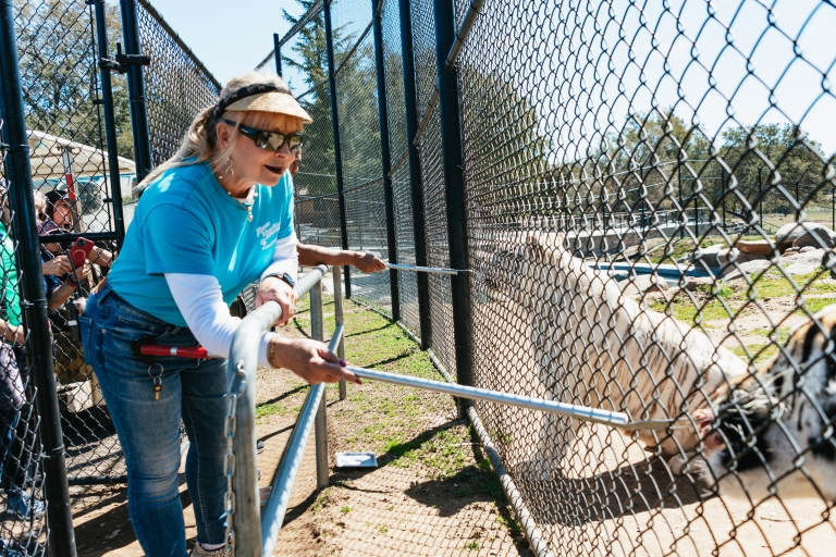 Alpino: Leones Tigres y Osos - Experiencia de alimentación en el santuario