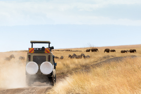 From Zanzibar: 1-Day Selous Safari with Flight & Lunch Selous Safari from Zanzibar – Without Transfer