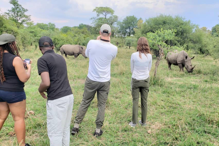 Mosi-oa-Tunya Nationaal Park Game Drive Plus Korte Neushoornwandeling