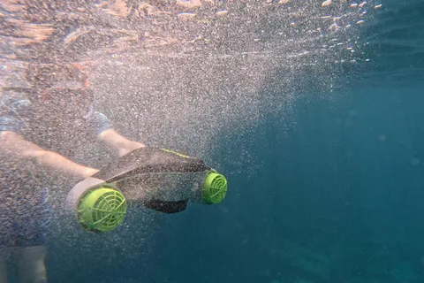 Teneriffa: Kajaktour mit Tieren und Unterwasserscootern