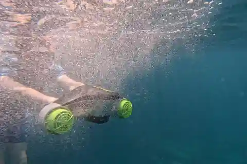 Teneriffa: Kajaktour mit Tieren und Unterwasserscootern