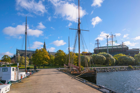 Swedish History Museum, Vasa Museum, Stockholm Tour, Tickets 2-hour: Swedish History Museum (No Transfer)