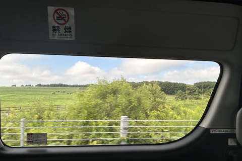 Hokkaido Summer: Fireworks Festival, Bon Dance & Horses Park