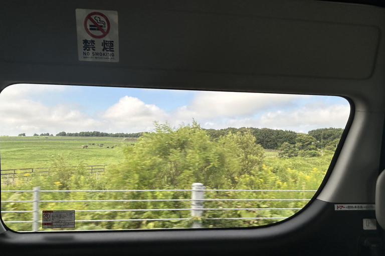 Hokkaido Summer: Fireworks Festival, Bon Dance & Horses Park