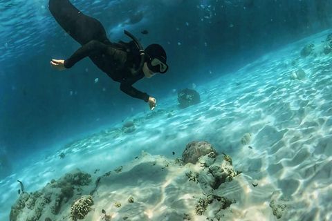 Lombok: pink beach snorkling trip with hotel pick up 2 Lombok: snorkling trip pink beach and explore pink beach