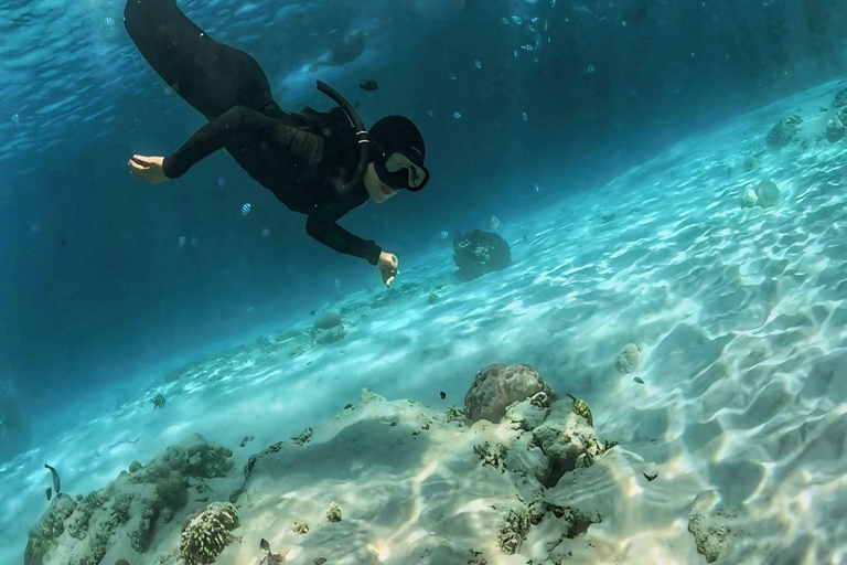 Lombok: pink beach snorkling trip with hotel pick up 2 Lombok: snorkling trip pink beach and explore pink beach