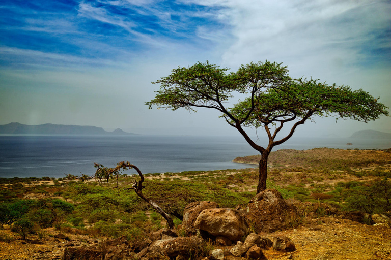 Addis Ababa: Highland Monastery Village Walk & Coffee