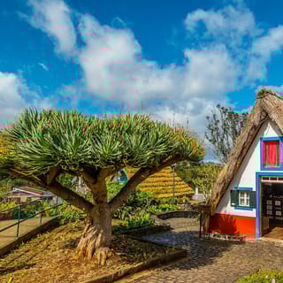 Madeira: Best of the East Tour from Funchal