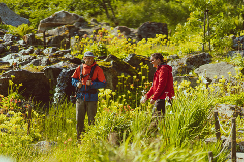 Tromsø: Explore Tromso by E-bike