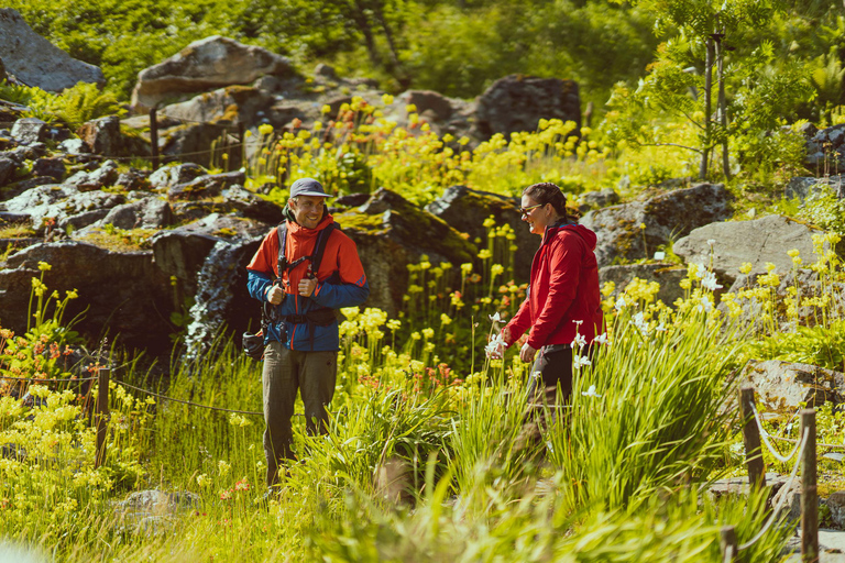 Tromsø: Explore Tromso by E-bike