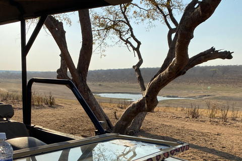 Safari Game Drive in Zambezi National Park pick up