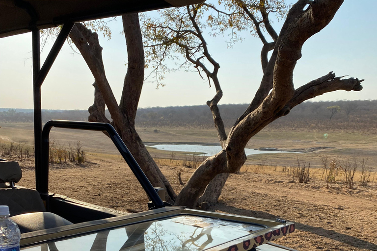 Safari Game Drive in Zambezi National Park pick up