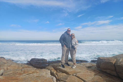 ROBBEN ISLAND &amp; CAPE OF GOOD HOPE,PINGVINER