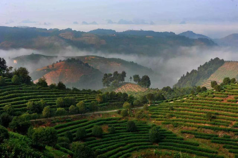 The Largest Tea Plantation and Xianggong Hill Tour