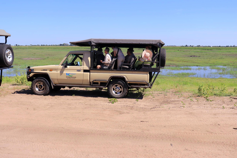 Kasane: Chobe National Park Game Drive and Boat Cruise