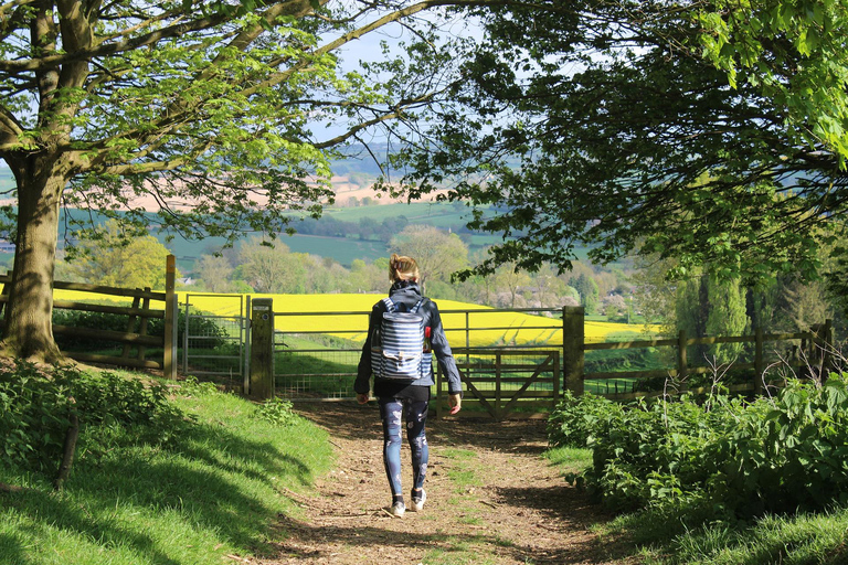 De Londres: Excursão de 1 dia para grupos pequenos em Cotswolds