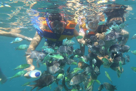 Escursione giornaliera Snorkeling Gili Layar/Gili Gede&amp;Gili Rengit