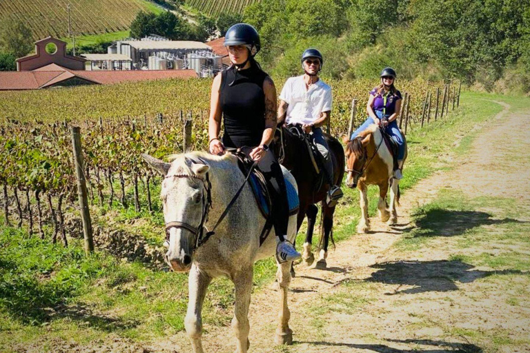 Tuscany Horseback Ride, Lunch, & Wine - Small Group From San Gimignano