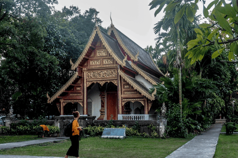 Chiang Mai: Tour dei templi e della culturaTour di gruppo