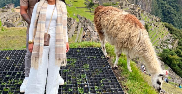 From Cusco: Machu Picchu Day Trip with Train & Entry Ticket