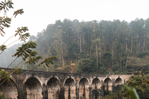 From Galle: Ella Private Day Tour with Guide & Transfers Pickup From Ella / Tissamaharama Area
