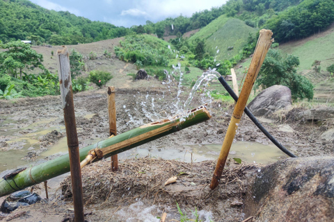 Chiang Rai: Jungle Adventure-Group Trekking & Bamboo Cooking