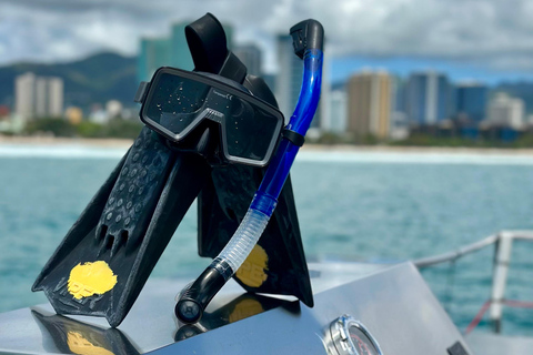 مغامرة الغوص مع سلحفاة وايكيكي