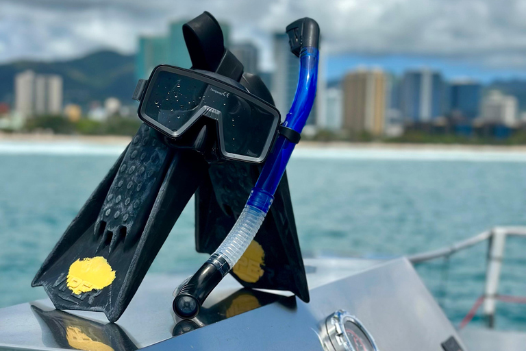 مغامرة الغوص مع سلحفاة وايكيكي