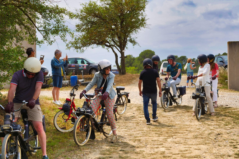 Carcassonne: Solex ride with guide and wine tasting Carcassonne: Solex tour with guide and wine tasting