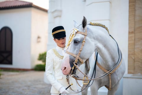 Abu Dhabi Royal Equestrian Arts - Guided Tour