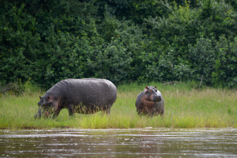 Depuis Zanzibar : Safari de nuit dans le Selous G.R. avec volssafari partagé