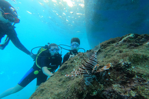 Alanya: PADI Discover Dive & Certified Training Options First Time Diving Option