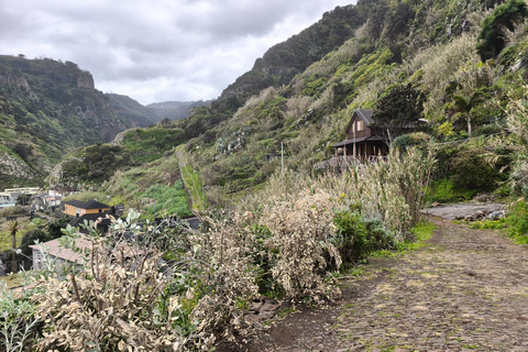 Madeira: Private Tour with Ruinas São Jorge and Cable Car