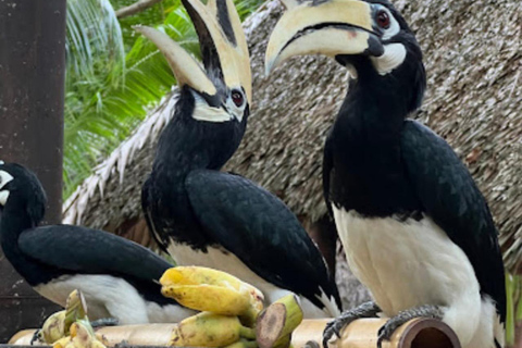 Raya y la Isla del Coral desde PhuketRaya y la isla de coral forman Phuket