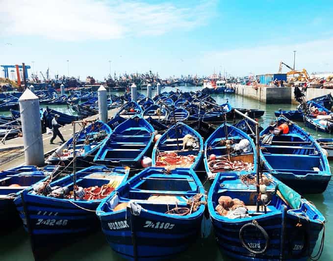Marrakech : Excursion à Essaouira avec la coopérative d'huile d'argan - trekking